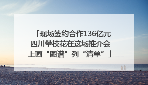 现场签约合作136亿元 四川攀枝花在这场推介会上画“图谱”列“清单”